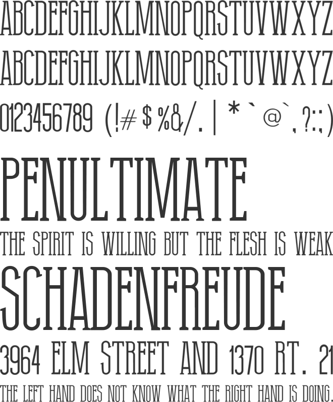 Grotesk Serif font preview