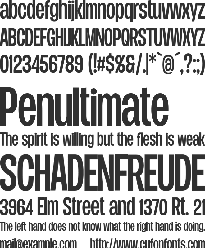 Duera PERSONAL USE Condensed font preview
