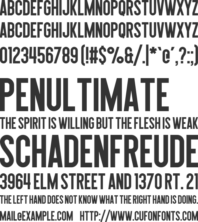 Queen of Clubs font preview