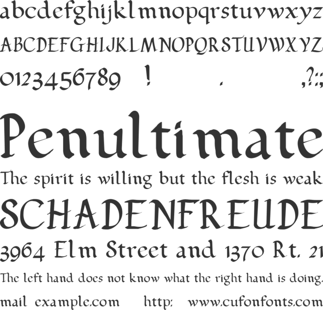 Pehuensito font preview
