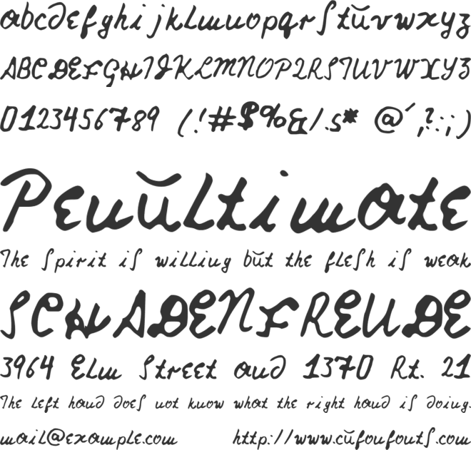 Nicks Font font preview