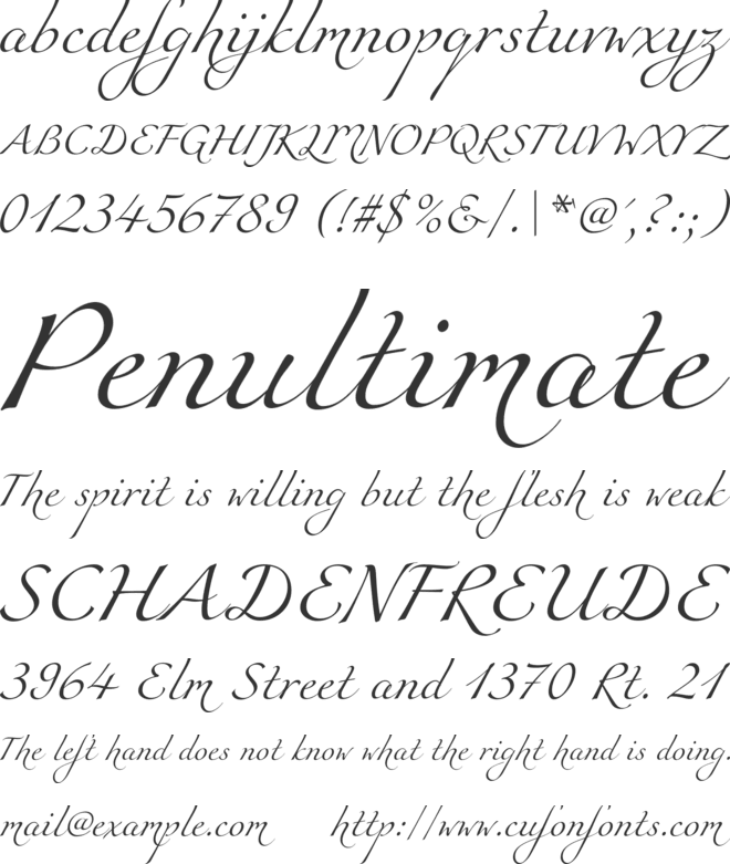 Miama Nueva font preview