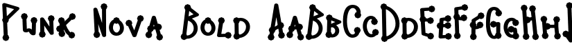 Punk Nova Bold font