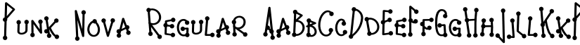 Punk Nova Regular font