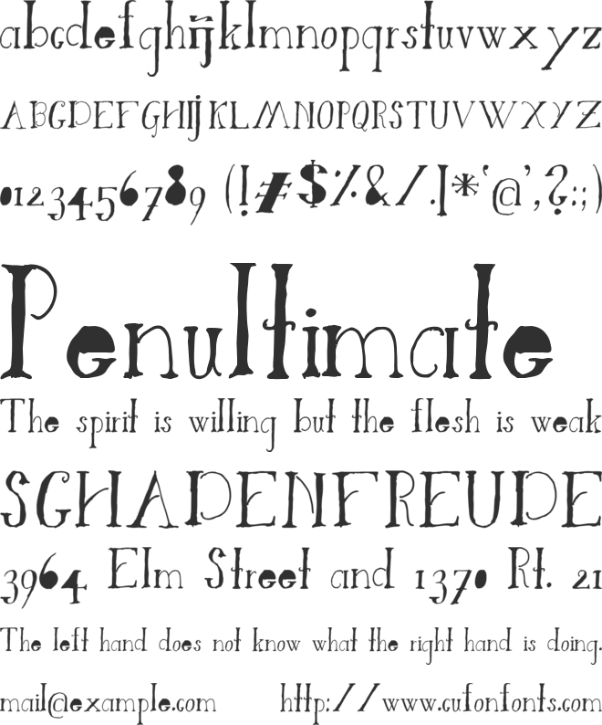 Times font preview