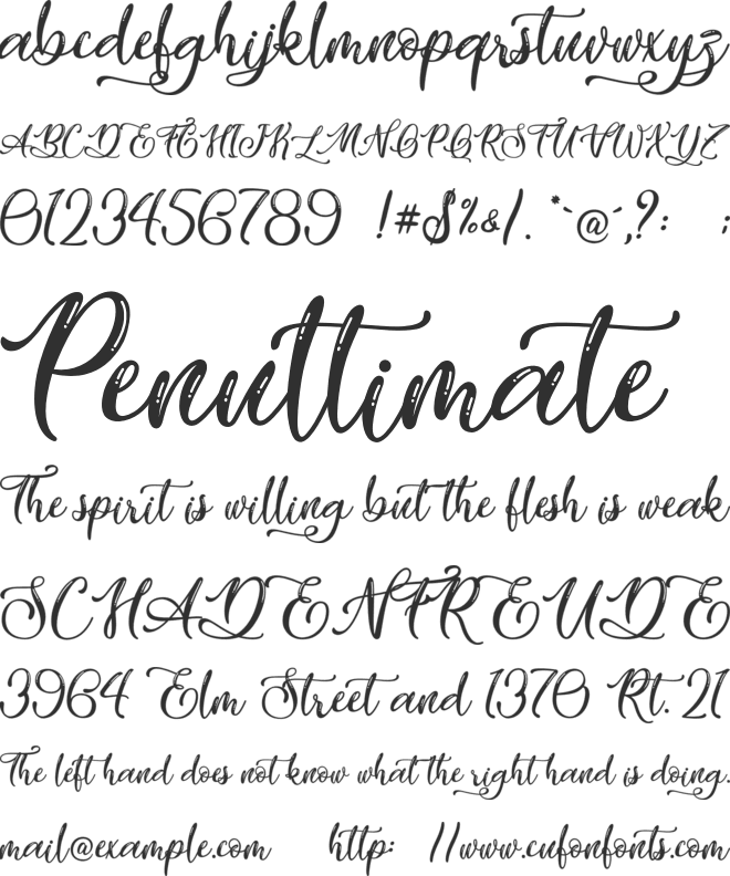 Vicky Cinthia - Personal Use font preview