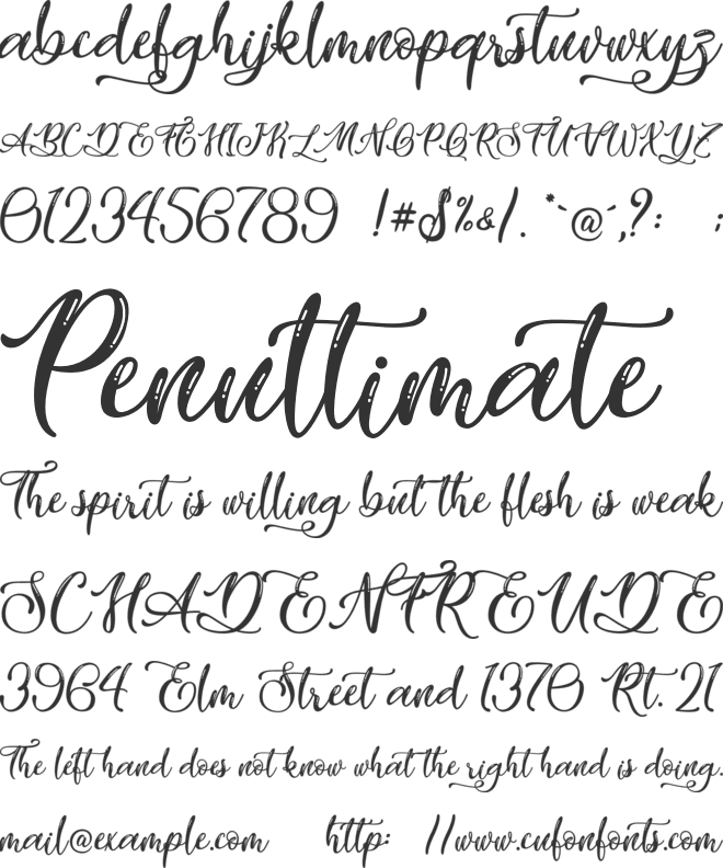 Vicky Cinthia - Personal Use font preview