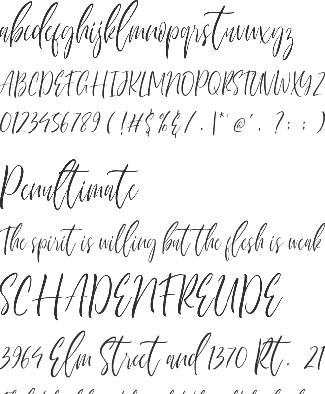 Sherland Modern font preview