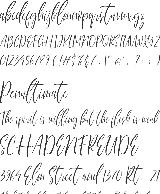 Sherland Modern font preview