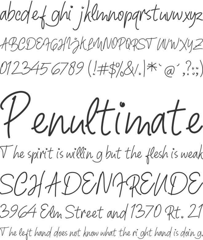 Shafira font preview