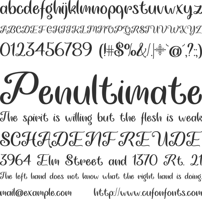 Chasing Snowflakes font preview