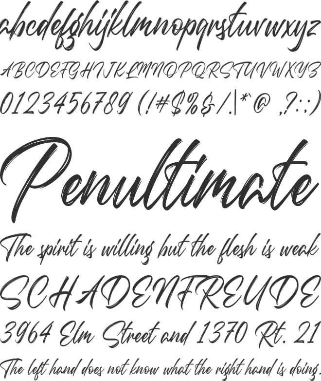 Questario font preview
