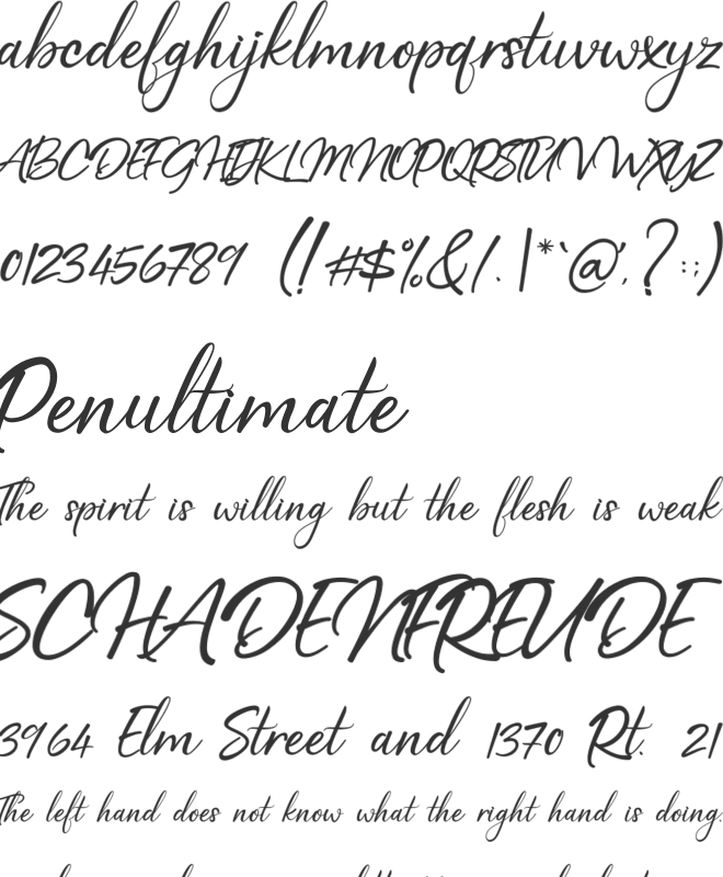 Rafiosa font preview