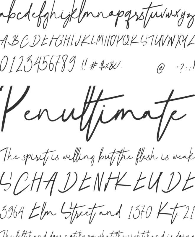 Natural Signature font preview
