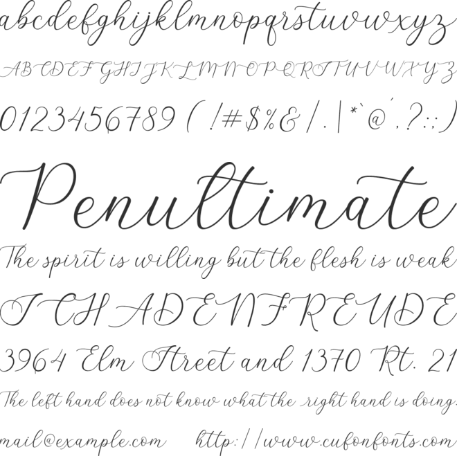 Lizelie font preview