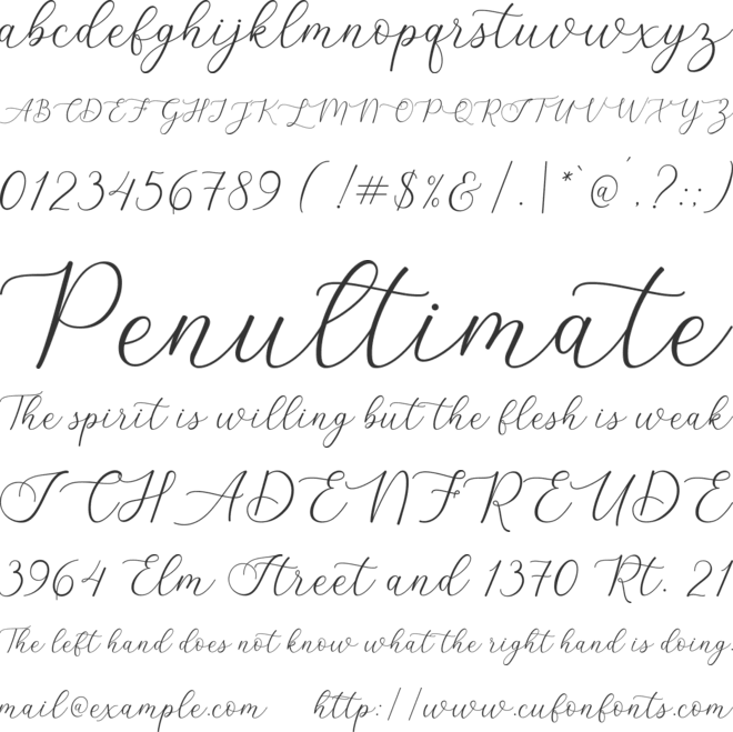 Lizelie font preview