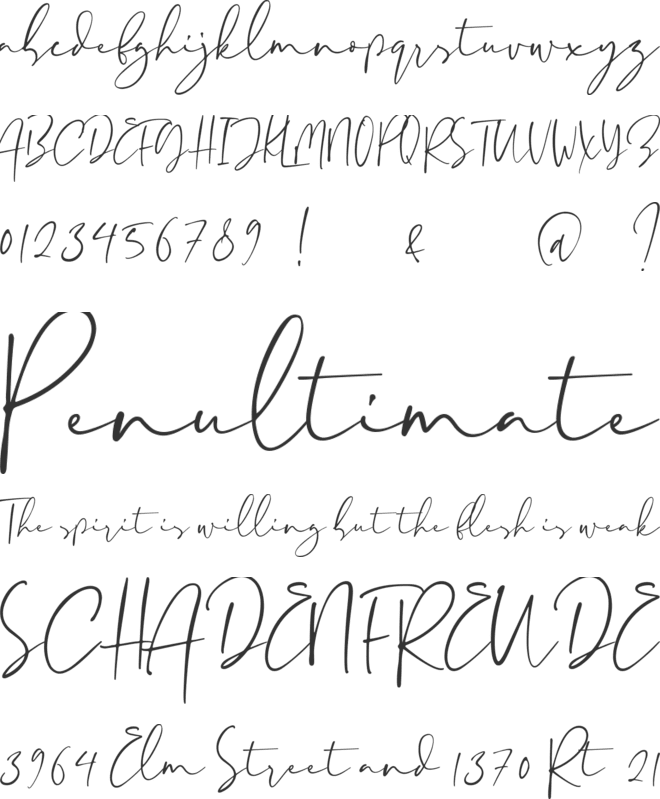 Paris Tonight font preview