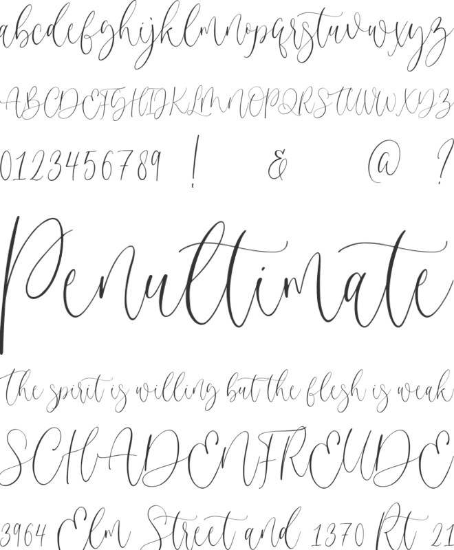 Gilmour font preview