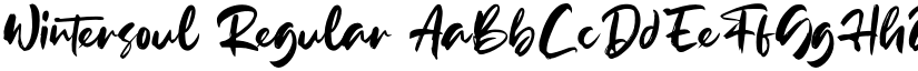 Wintersoul Regular font