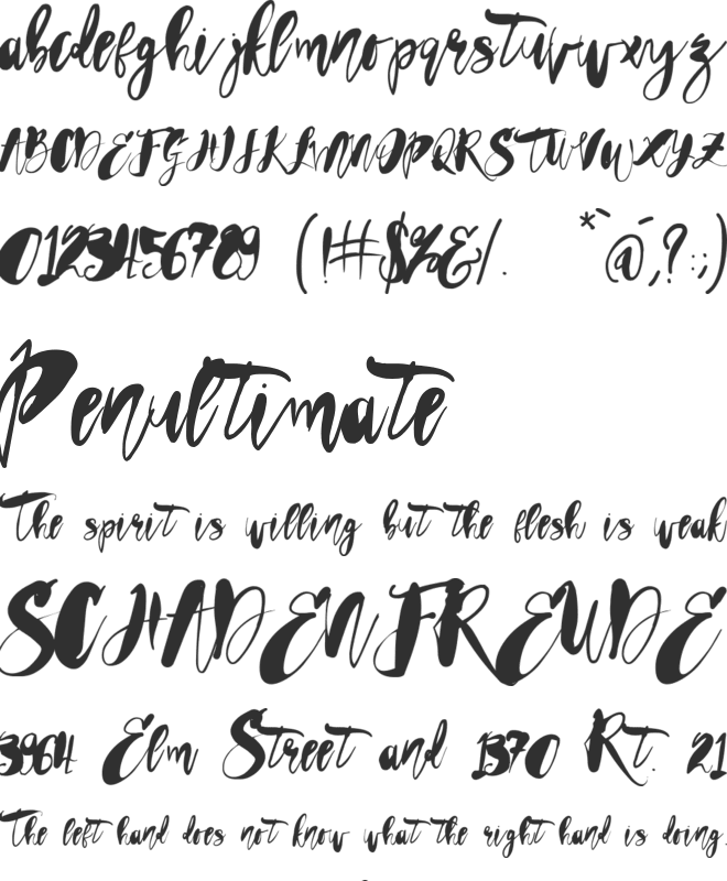 Vtks Foolish Things font preview