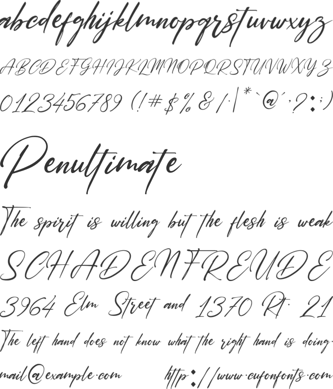 Saltacrus font preview