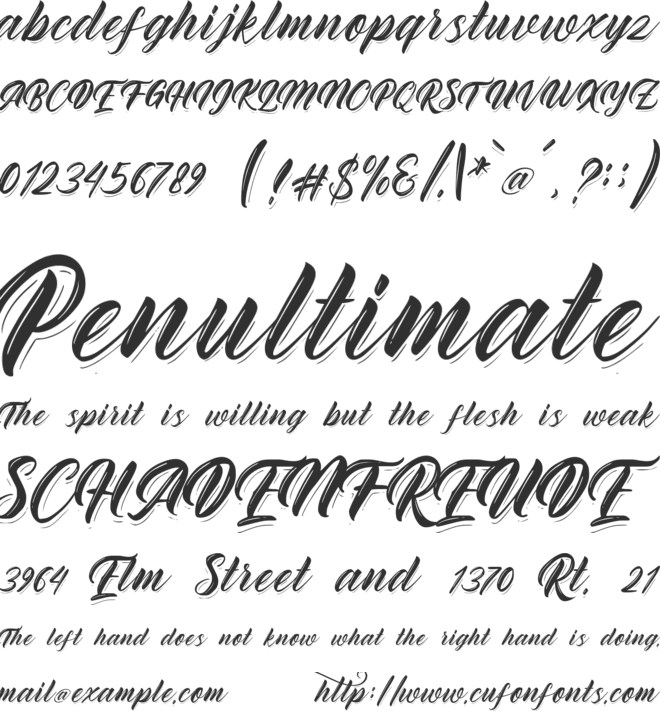 Rhinatta Script font preview