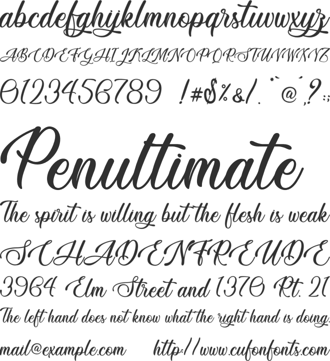 Vesta Night - Personal Use font preview