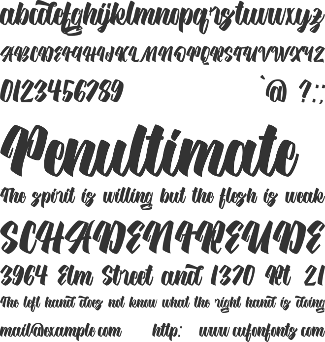 Hilgreds Script font preview