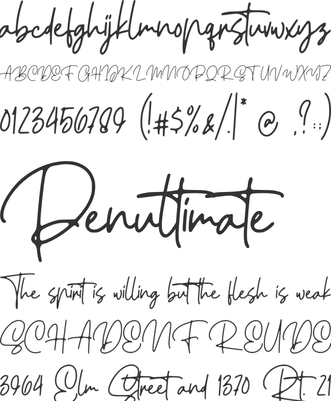 Ellouise font preview