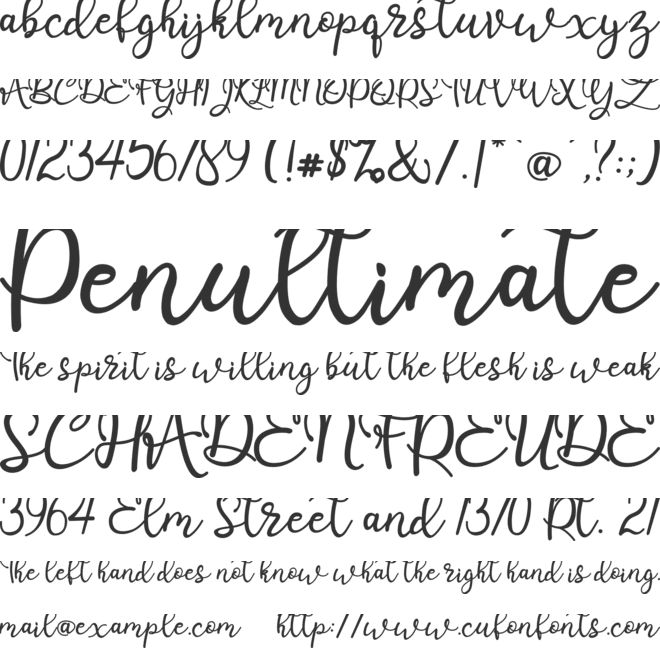 bonitas font preview