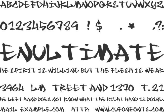 Chronic font preview