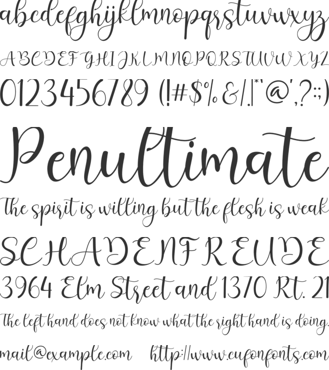 sheyla font preview