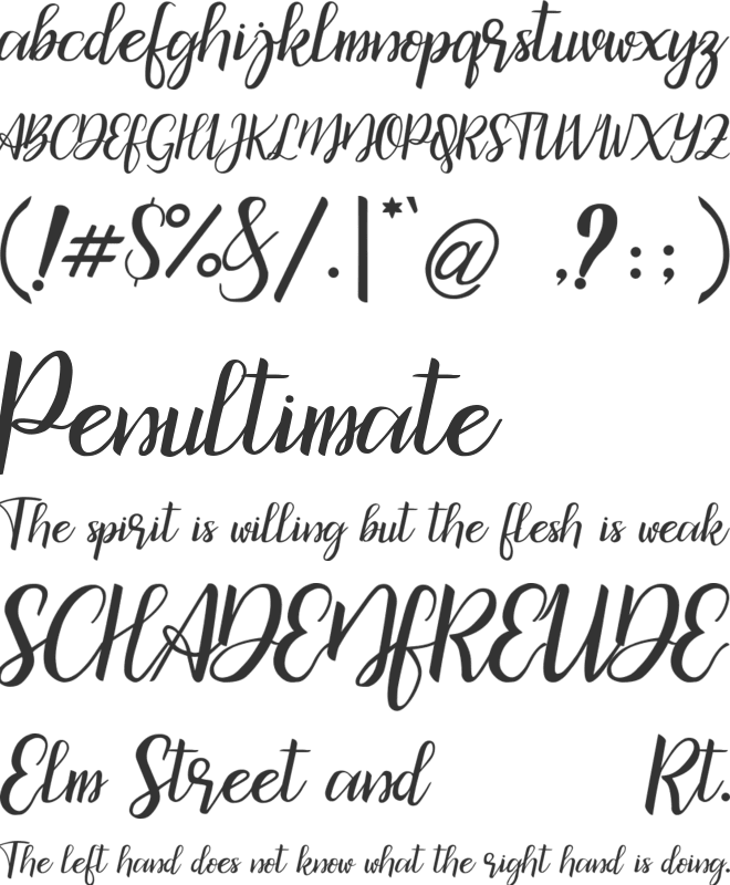 bicillesta font preview