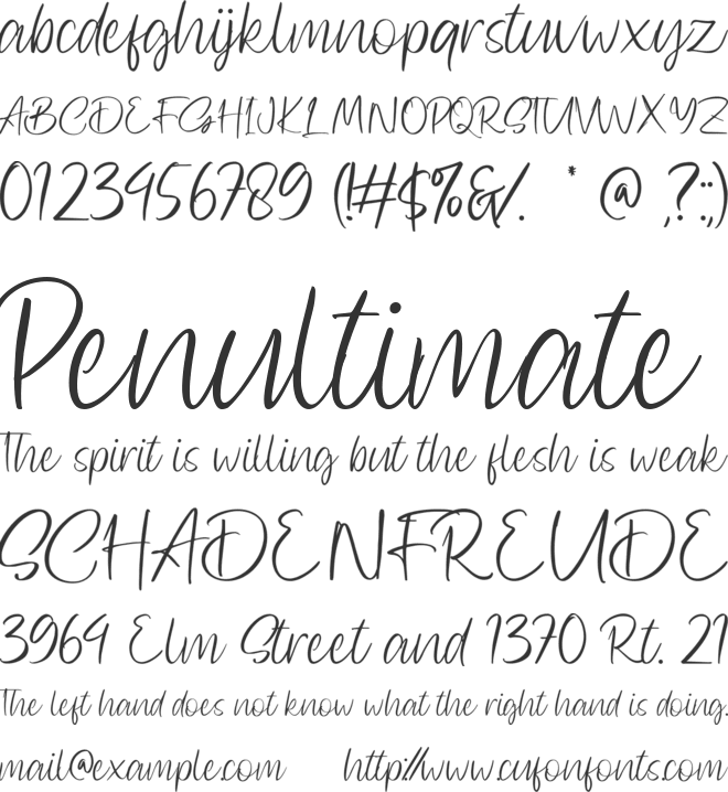 Sallvacia font preview