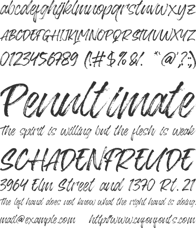 Blackway Brush font preview