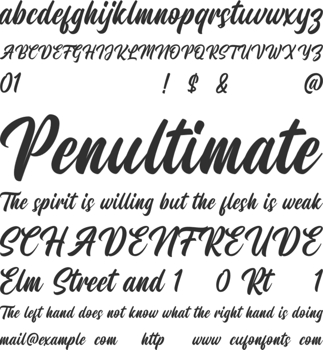 Monteners Script font preview