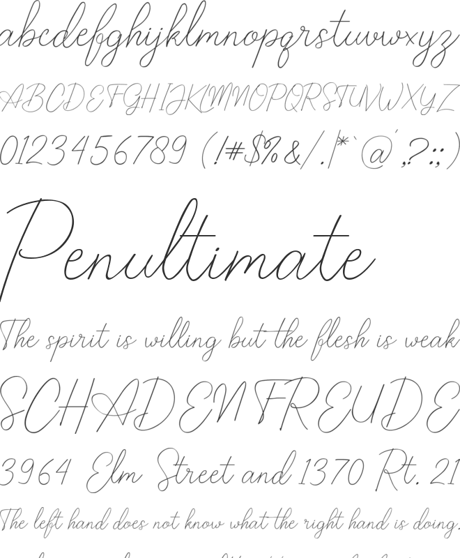 Callina font preview