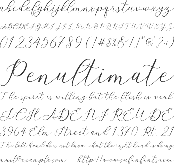 Amstella font preview