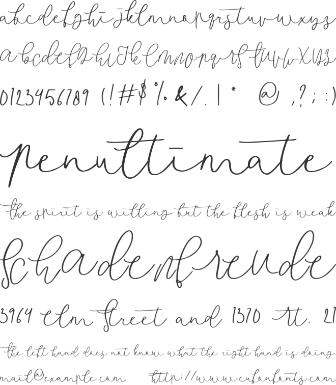 consectetur font preview