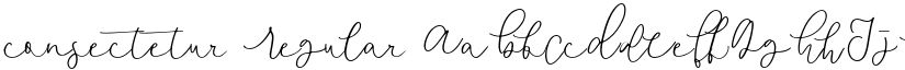 consectetur Regular font