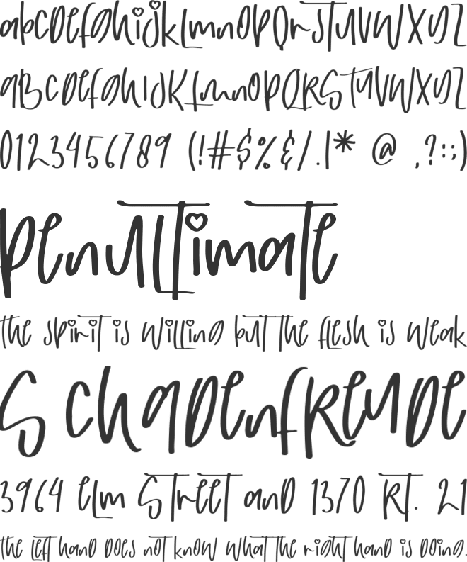 aliquip font preview