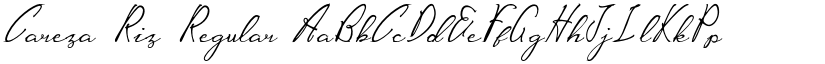 Careza Riz font download