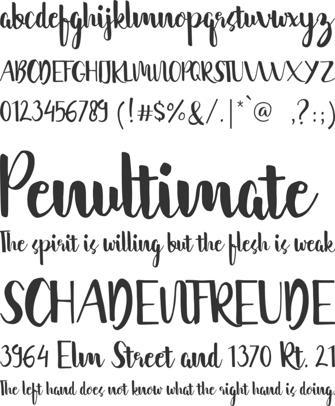 cantika font preview
