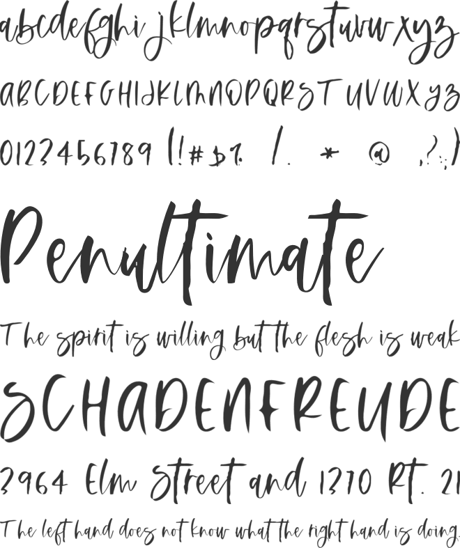 Sakarepmu font preview