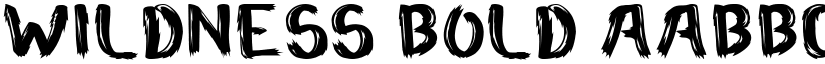 Wildness Bold font