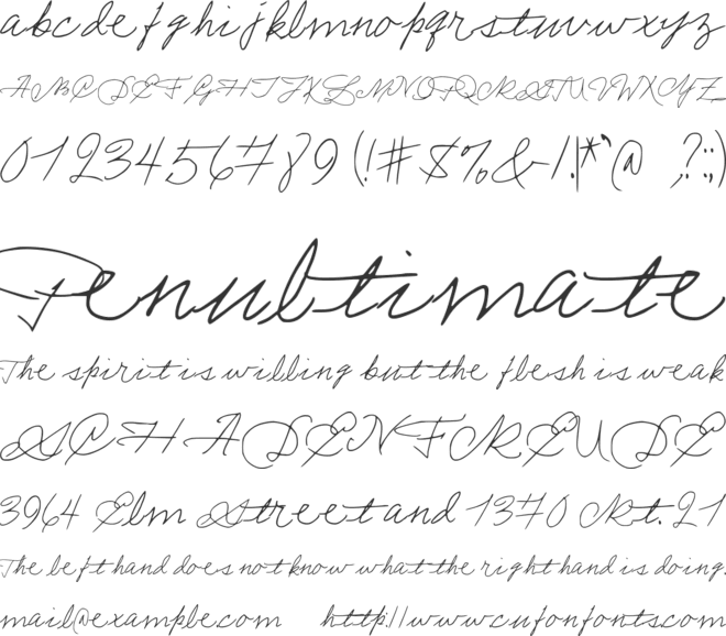 Arthurmorgancursivehandwriting font preview