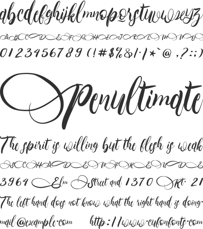 Primary_Gilberta font preview