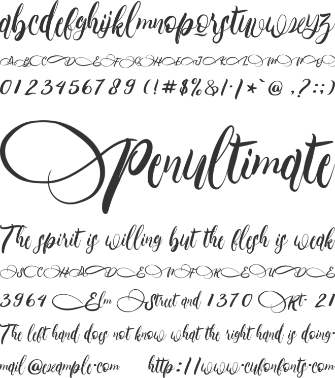 Primary_Gilberta font preview