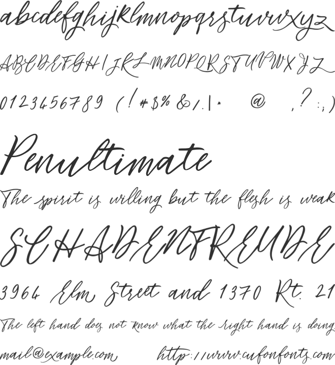 Flowers power font preview