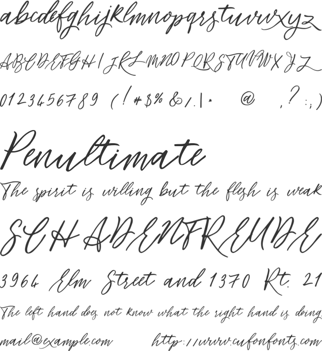 Flowers power font preview